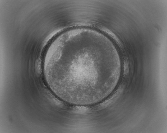 X0000112850878200910021249