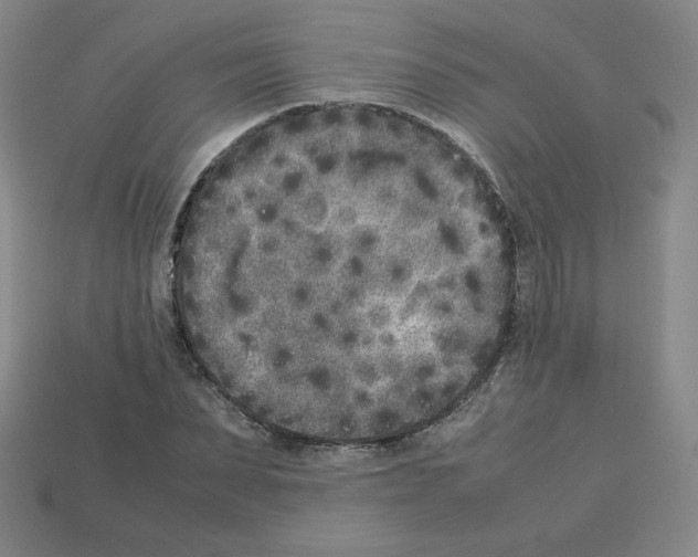 X0000112850879200910021249