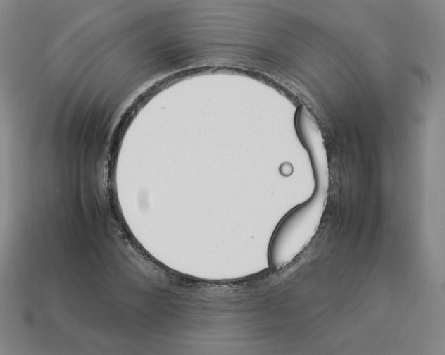 X0000112850880200910021249