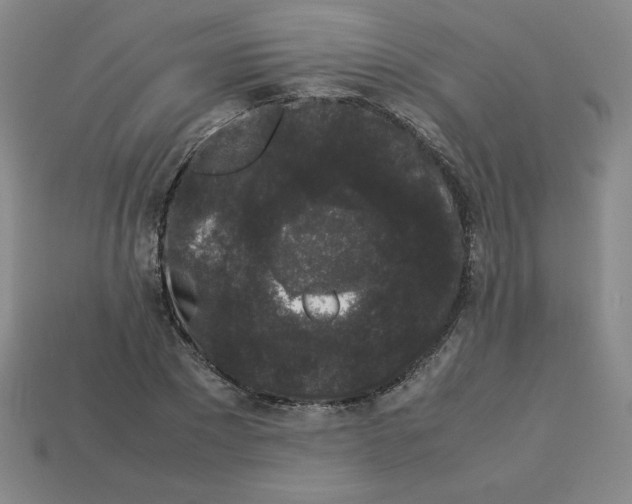 X0000112850881200910021249