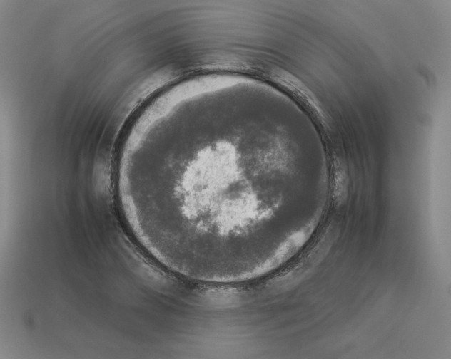 X0000112850882200910021249