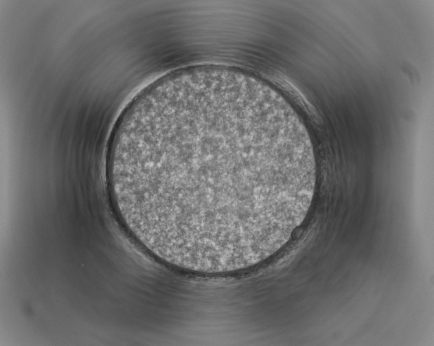 X0000112850884200910021249