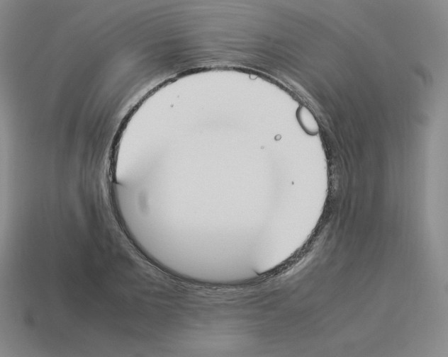 X0000112850885200910021249