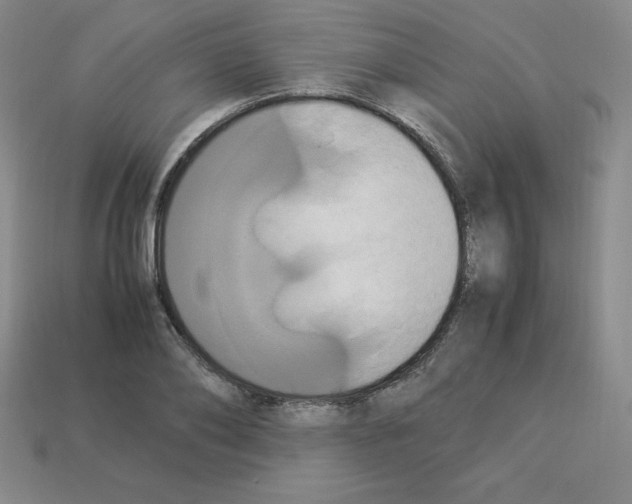 X0000112850886200910021249