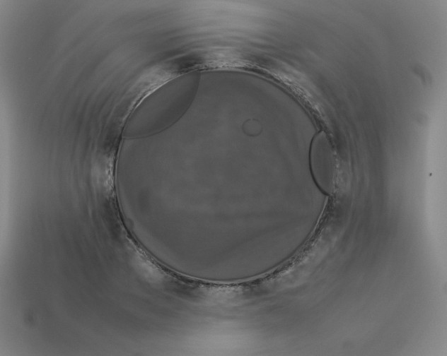 X0000112850889200910021249