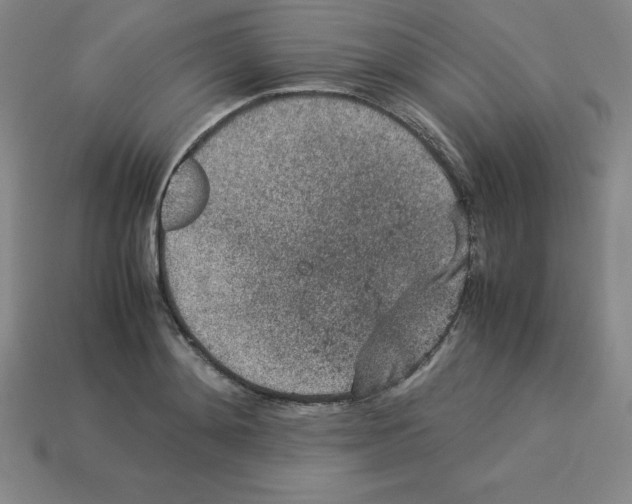 X0000112850892200910021249