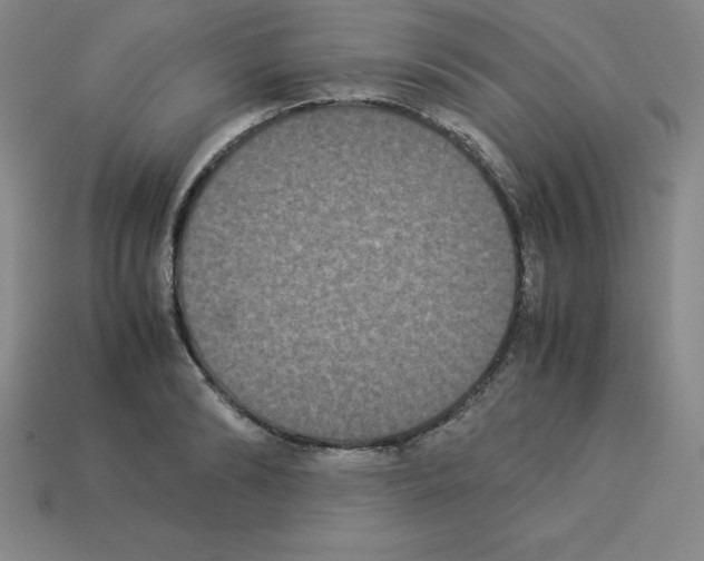 X0000112850894200910021249