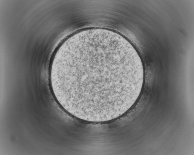 X0000112850896200910021249