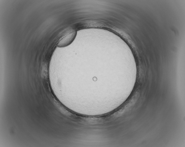 X0000112850897200910021249