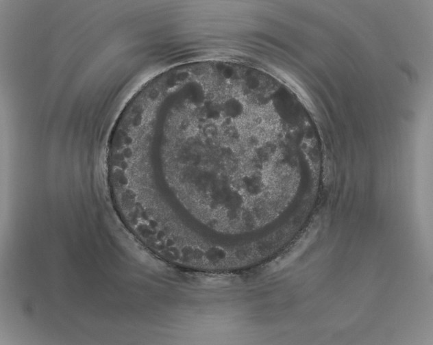 X0000112850899200910021249