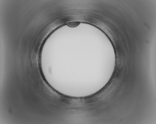 X0000112850901200910021249