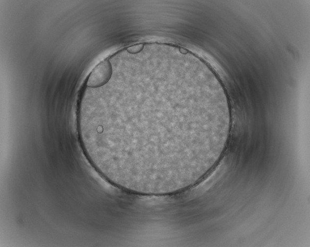 X0000112850902200910021249