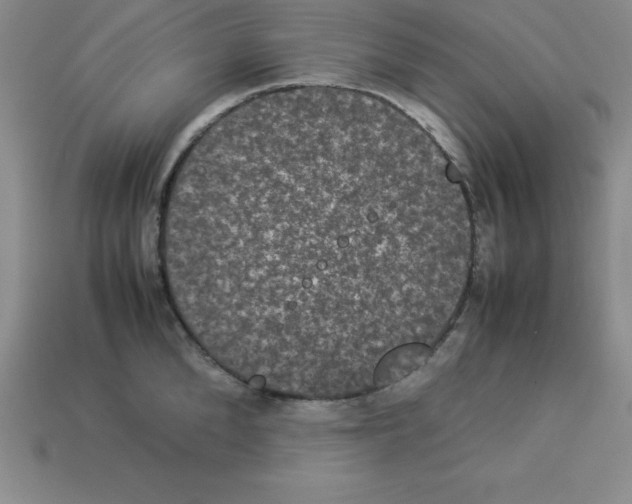 X0000112850904200910021249