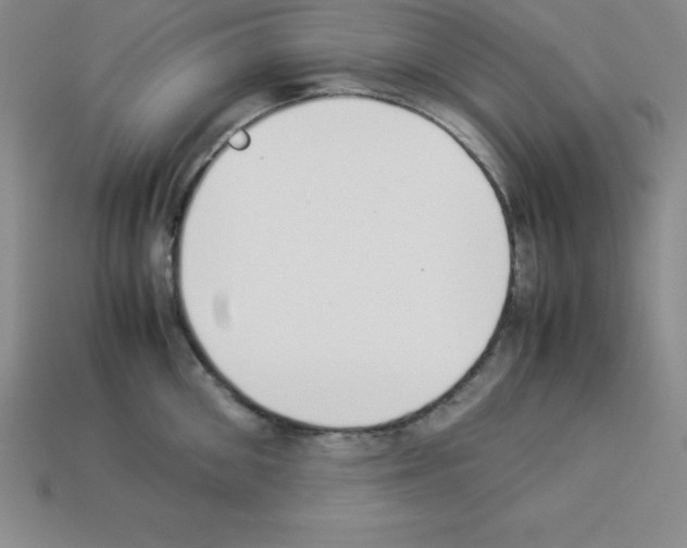 X0000112850906200910021249