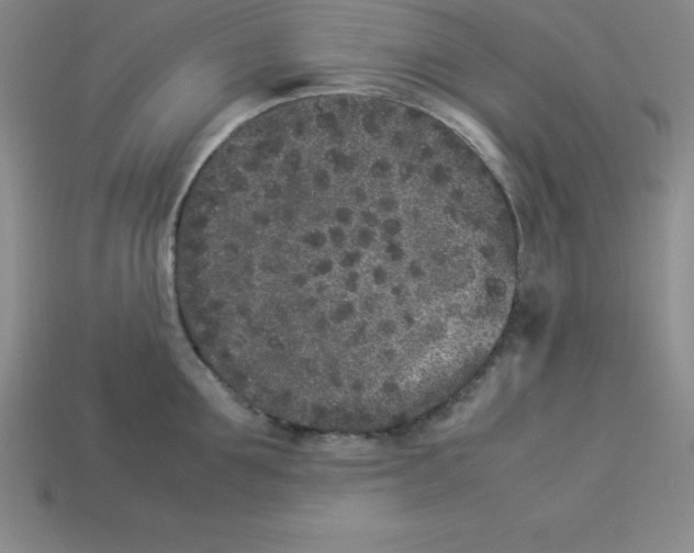 X0000112850907200910021249