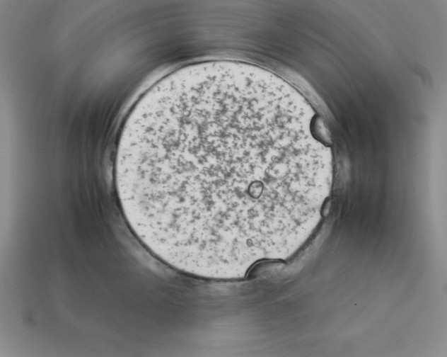 X0000112850908200910021249