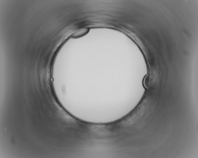 X0000112850909200910021249