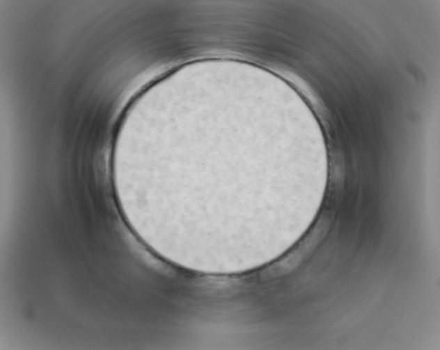 X0000112850910200910021249