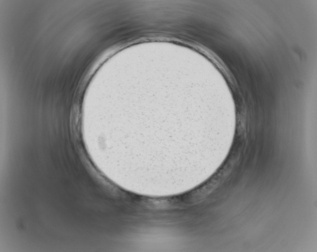 X0000112850911200910021249