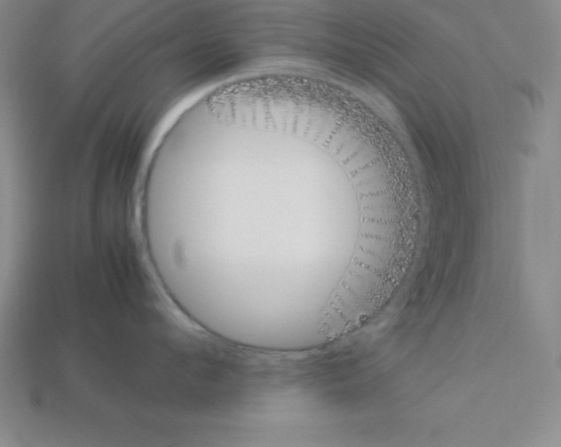 X0000112850912200910021249