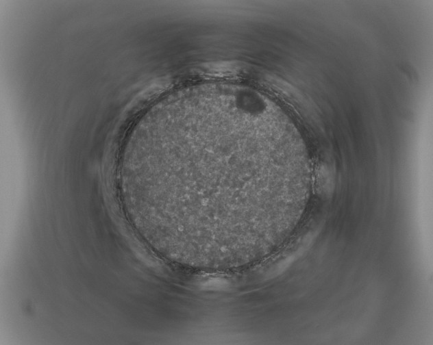 X0000112850913200910021248