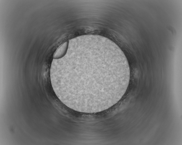 X0000112850914200910021248