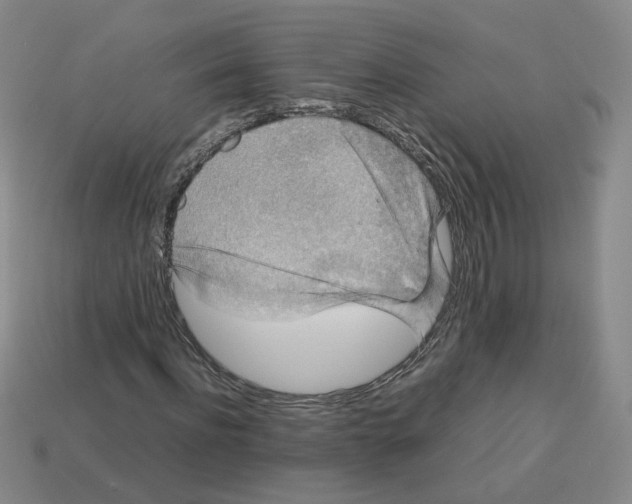 X0000112850916200910021248