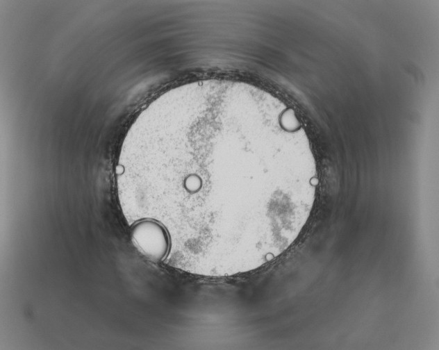 X0000112850918200910021248