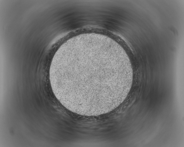 X0000112850919200910021248