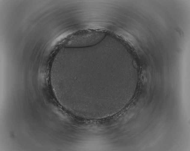 X0000112850920200910021248