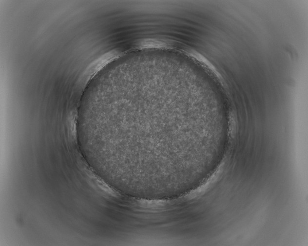 X0000112850921200910021248