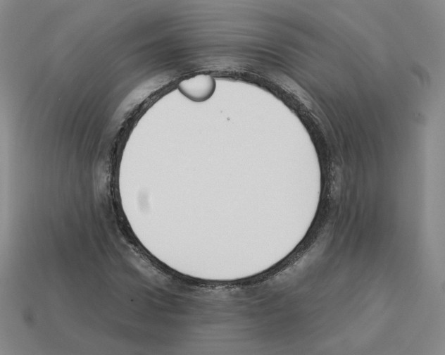 X0000112850922200910021248