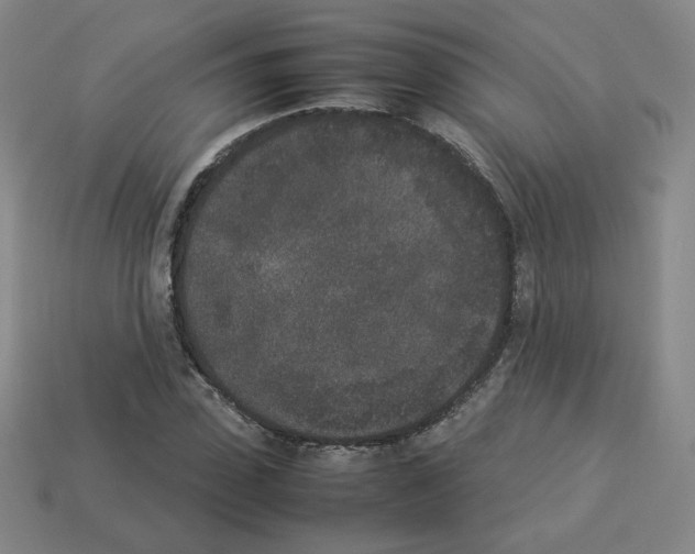 X0000112850923200910021248