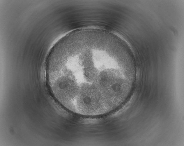 X0000112850925200910021248