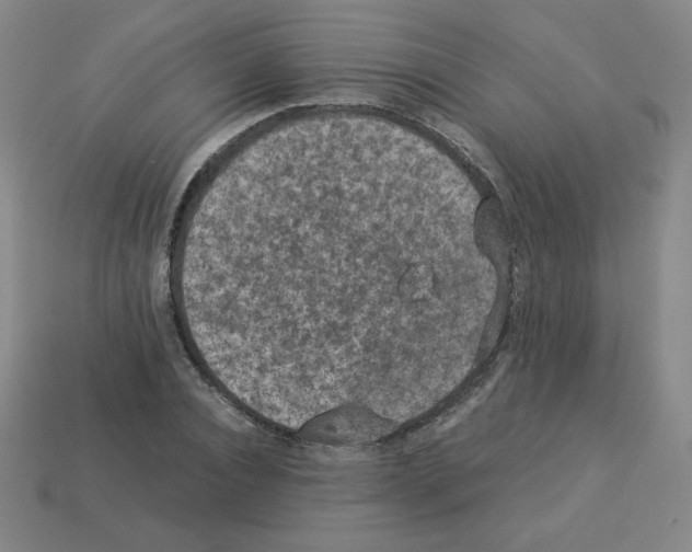 X0000112850928200910021248