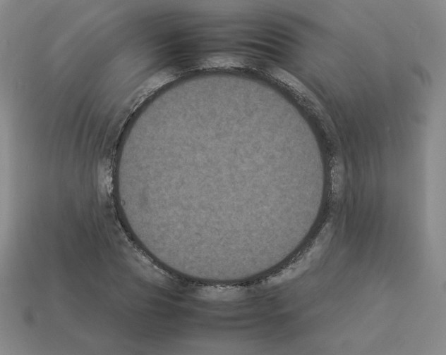 X0000112850929200910021248