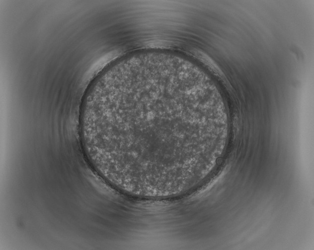 X0000112850930200910021248