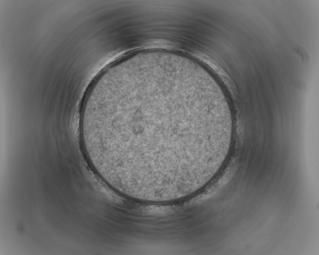 X0000112850933200910021248