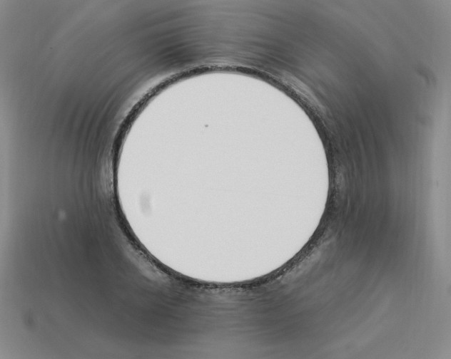 X0000112850934200910021248