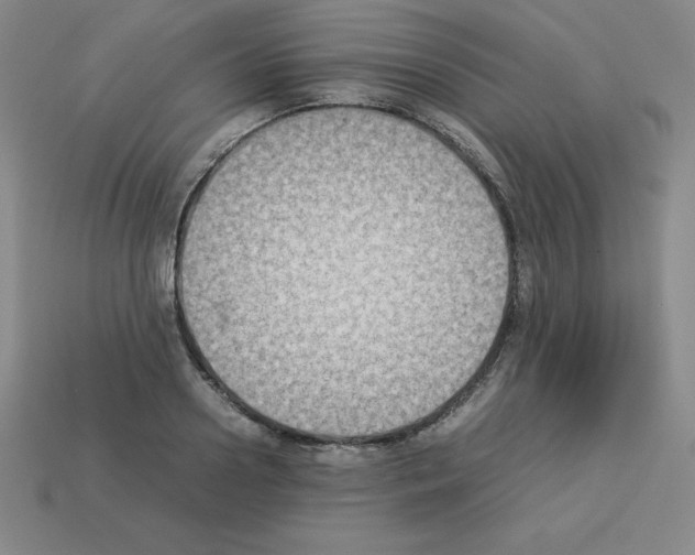 X0000112850938200910021248