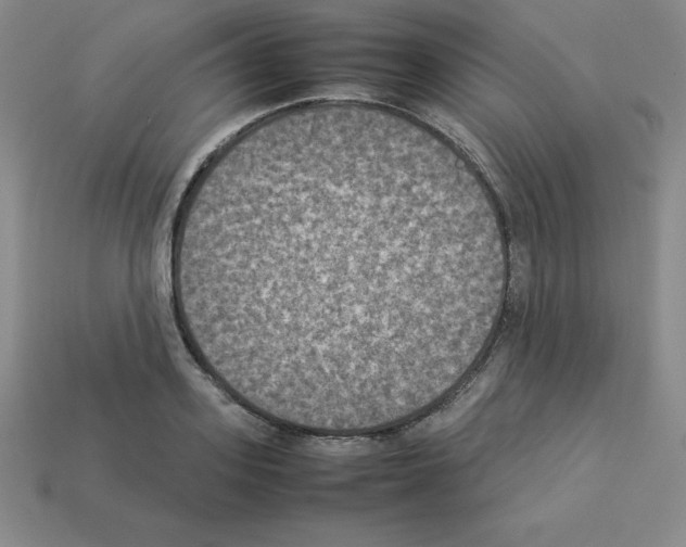 X0000112850939200910021248