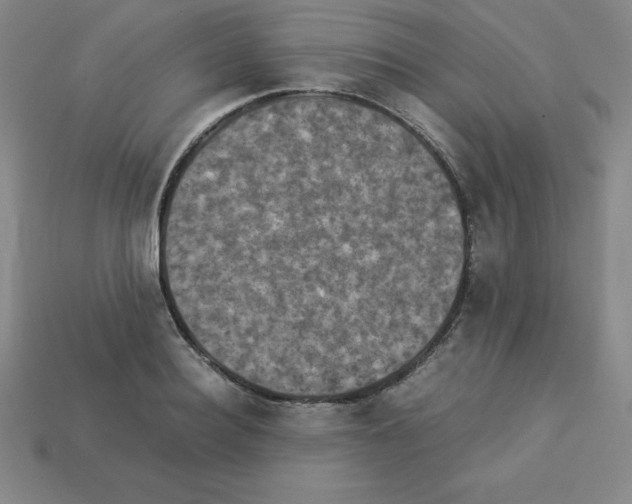 X0000112850940200910021248