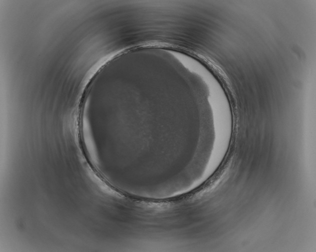 X0000112850941200910021248