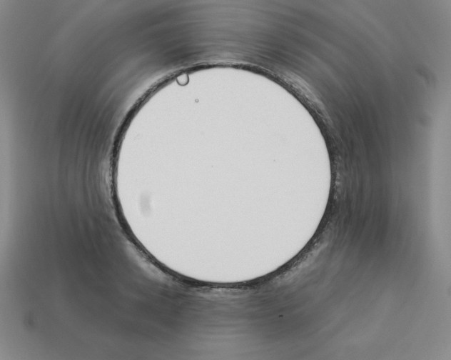 X0000112850942200910021248