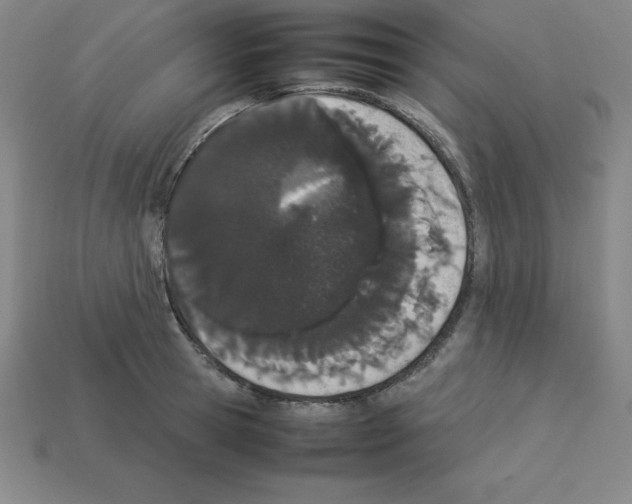 X0000112850945200910021248