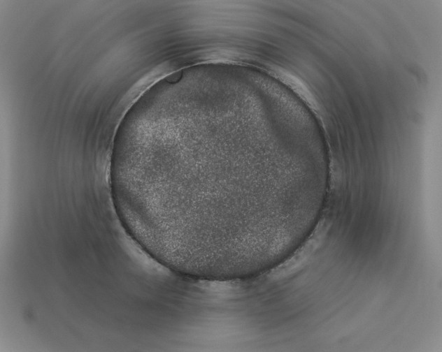 X0000112850946200910021248