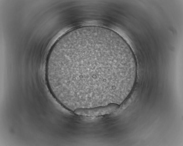 X0000112850949200910021248