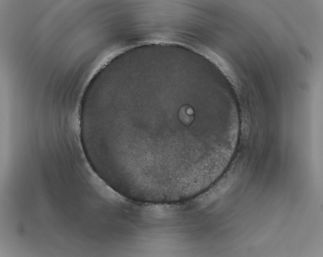 X0000112850950200910021248