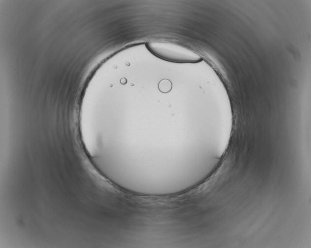 X0000112850952200910021249