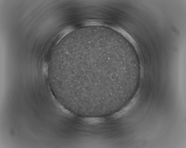 X0000112850953200910021249